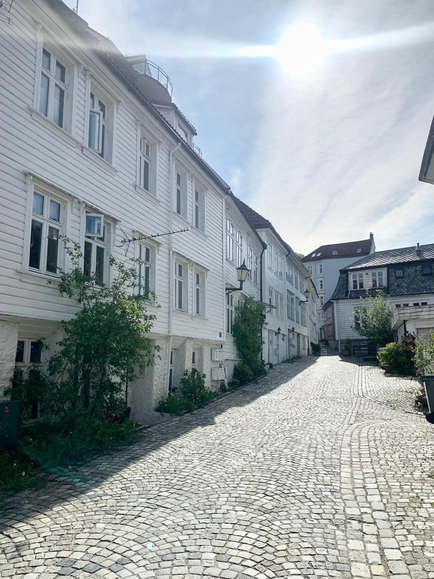 Nedre Stolen Apartment Bergen Extérieur photo